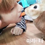[아이콘] 스마트에서 옷산사람??