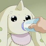 커<b>버력</b> 개쩌는 비비 컨실러 파데추천좀