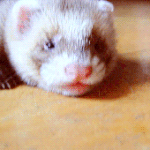 [세븐틴] 승관이 <b>첫인상</b> 현인상 (주관적)