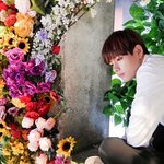 [방탄소년단] 예쁜 글귀 공유