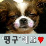 한살반된 땡구 아가시절 사진 올려봐요~