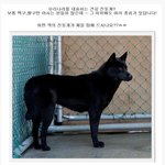 [유머판] <b>호구</b> 인증