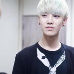 [BAP] 젤로 턱깎음