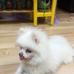 [댓글부탁해] 이거봐봨ㅋㅋㅋ