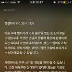 별자리<b>운세</b> 믿을만함??