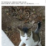 남자의 로망.. 자..잠깐만 ㅋㅋ
