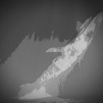 [방탄소년단] Whalien 52