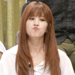 [에이핑크] 고양이 들을수록 괜찮은노래같아