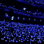 [댓글부탁해] 다른 사이트에서 논란이 된 콘서트 움짤