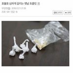 이거뭔지아는사람<b>설명</b>좀