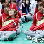 [러블리즈] 리너스들아 우리공카에  <b>mc</b>빵떡수덩이란애 암?