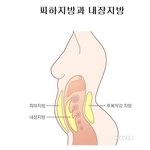 [다이어트] ** ‘유형별 <b>복부</b>비만’에 따른 대처법 알아보기 **