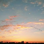 [댓글부탁해] 풍경 찍은 거 <b>보정</b>했는데