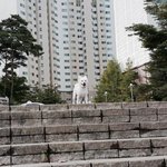 [방탄소년단] 남준이가 사진찍은곳을 지나가며 <b>한컷</b>..