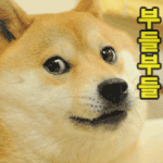 [댓글부탁해] 보조개있는게 장애야?