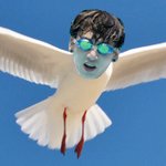 [방탄소년단] 씨걸이의 물안경사랑