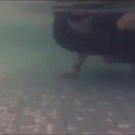 [방탄소년단] <b>동전</b>줍기놀이 하는줄