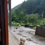 [댓글부탁해] 일주일동안 돈 신경 <b>안</b>쓰고 자유<b>시간</b>주어지면 뭐할것같아?