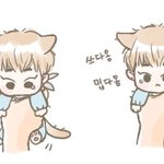[시우민] 쓴약 먹고 서러운 슈냥이(시우민 냥이져