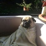 [EXO] ㅅㅂ 귀에서 자꾸 허chan미 삑사리 <b>맴돔</b>