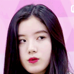 플레디스 박시연
