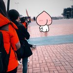 [세븐틴] 지금 올공상황!