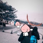 [세븐틴] 올공 현장판매상황