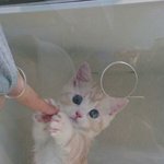 나<b>옆집</b>오빠좋아하는데