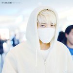 [인피니트] <b>나무</b> 이 후드티