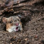 자기 가수 최애 노래 적고가줘!!!