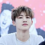 [아이콘] 우리 사진 예쁜 홈마분 누구누구 계셔?