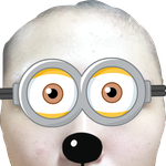 [댓글부탁해] 옆광대좀 봐줘ㅠㅠㅠㅠ