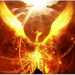 [EXO] 쟤네 <b>올빼미</b> 아님ㅋㅋㅋㅋ