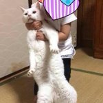 [유머판] <b>설날</b>... 악당이 찾아왔다