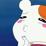 [짝남] 얘들아 짝남이 나한테 별 생각이 없이 행동하는 걸까?