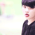 [세븐틴] 안녕하새오 캐럿이<b>애오</b>