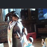 [개독멸종] 개독 정신 <b>병자</b>가 또 다녀 갔네......