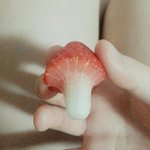 [드루와] +)너네 딸기<b>버섯</b>이라고 알아??