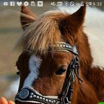 [세븐틴] 짤웃겨서 저장할랫는데ㅋㅋㅋㅋㅋㅋㅋ