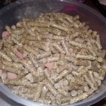 토끼<b>사료</b>