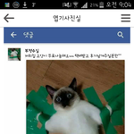 페이스북.고양이 청테이프 학<b>대범</b>을 찾습니다.
