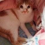 <b>도칠</b>이와 살면서 달라진 점.  그리고 돈..