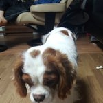 [코코토끼] 코코 와 토끼 _  비오는 주말 편