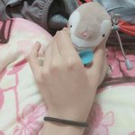 <b>내손</b>보면 어때