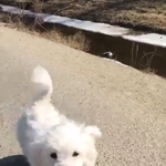 [방탄소년단] 짱구 <b>발소리</b> 존!나 귀여워ㅜㅜㅜㅜ