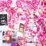 시선강탈 쩌는 초콜렛나무.jpg