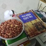 JUDGE.;JU-쥬신즉분열즉호박쥬스+D-대우그룹즉상서+GE-개즉가족즉잭웰치...