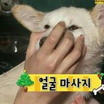 [인피니트] 성규가 섹시한건 <b>알고</b>있었지만