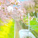 [드루와] 우리 분위기있는 움짤 공유해볼까?!