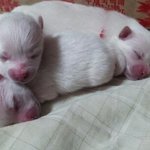 우리집 <b>해달</b>별이 소개해드려요~(2탄!)